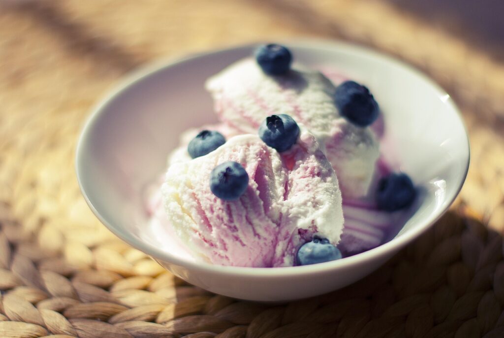 bowl, ice cream, dessert, food, sweet, cold, nature, delicious, ice cream scoop, refreshment, tasty, summer, flavor, taste, diet, blueberries